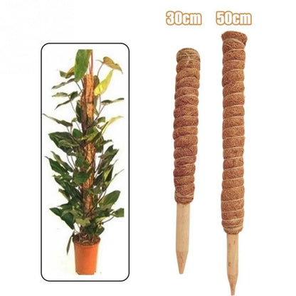 Close-up view of Plant Climbing Coir Totem Pole | Garden Decor by HomeDecorDecals