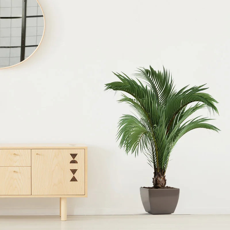Potted palm plant in a modern interior setting | Home Decor removable peel and stick wall decal by HomeDecorDecals.