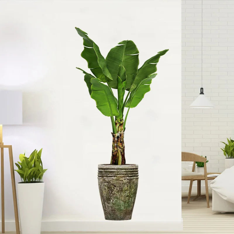 Potted plant in a modern indoor setting | Home Decor home decor design by HomeDecorDecals.