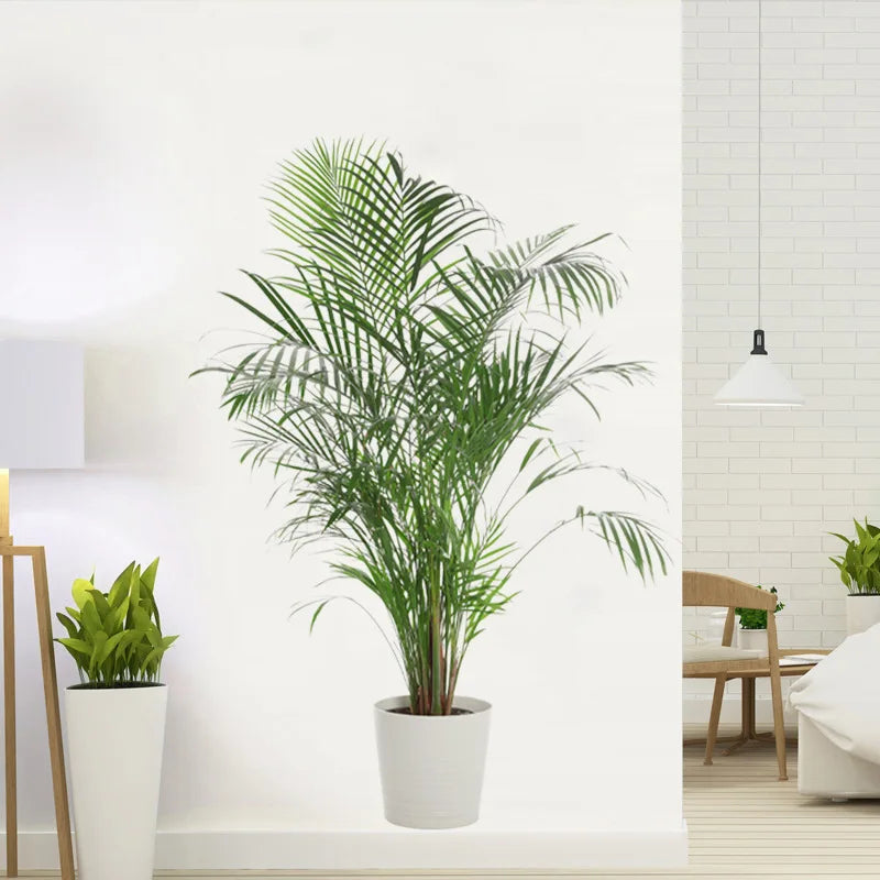 Potted plant in a room | Home Decor by HomeDecorDecals.