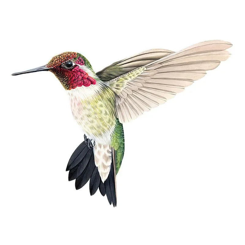 Hand-Painted Hummingbird PVC Wall Decal-HomeDecorDecals_com