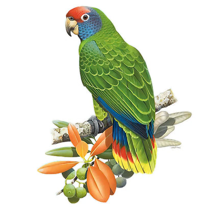 T148# Hand painted Parrot Wall Sticker Bathroom Toilet Decor Living Room Cabinet Home Decoration Decals-HomeDecorDecals_com