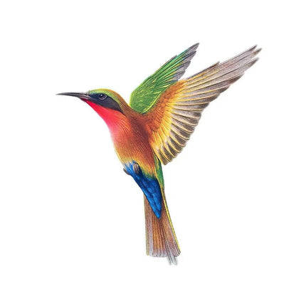 Hand-Painted Hummingbird PVC Wall Decal-HomeDecorDecals_com