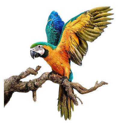 T148# Hand painted Parrot Wall Sticker Bathroom Toilet Decor Living Room Cabinet Home Decoration Decals-HomeDecorDecals_com