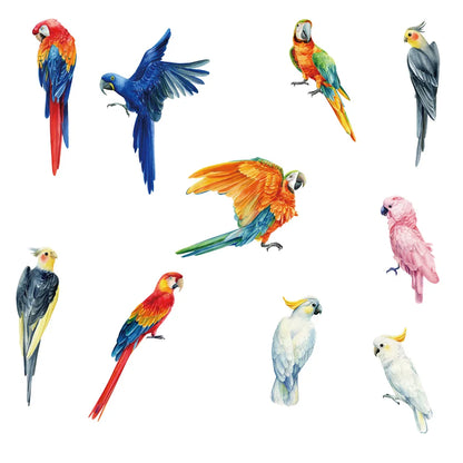 Hand-painted style Birds Wall Stickers Parrot Decal for Kids Nursery Bedroom Living Room Decor Art Removable Murals Wall Posters-HomeDecorDecals_com