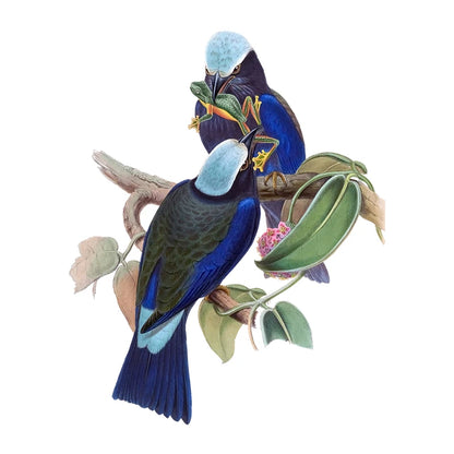 T148# Hand painted Parrot Wall Sticker Bathroom Toilet Decor Living Room Cabinet Home Decoration Decals-HomeDecorDecals_com