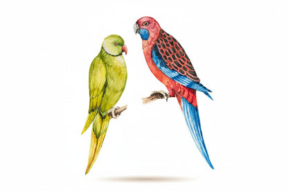 T148# Hand painted Parrot Wall Sticker Bathroom Toilet Decor Living Room Cabinet Home Decoration Decals-HomeDecorDecals_com