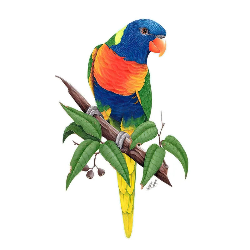 T148# Hand painted Parrot Wall Sticker Bathroom Toilet Decor Living Room Cabinet Home Decoration Decals-HomeDecorDecals_com