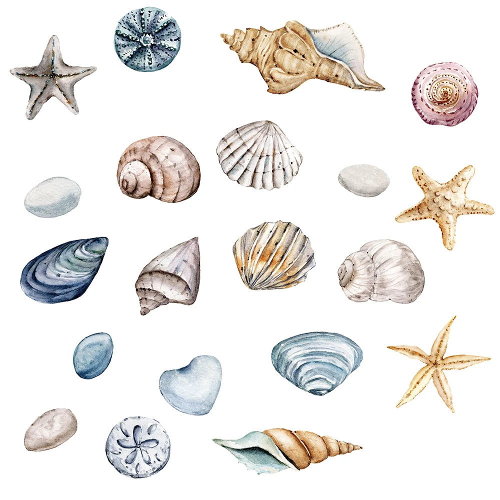 1X Beautiful Shell DIY Wall Stickers for Bathroom Decor Kids Removable Decals PVC Showcase Window Glass Tile Door Posters Mural-HomeDecorDecals_com