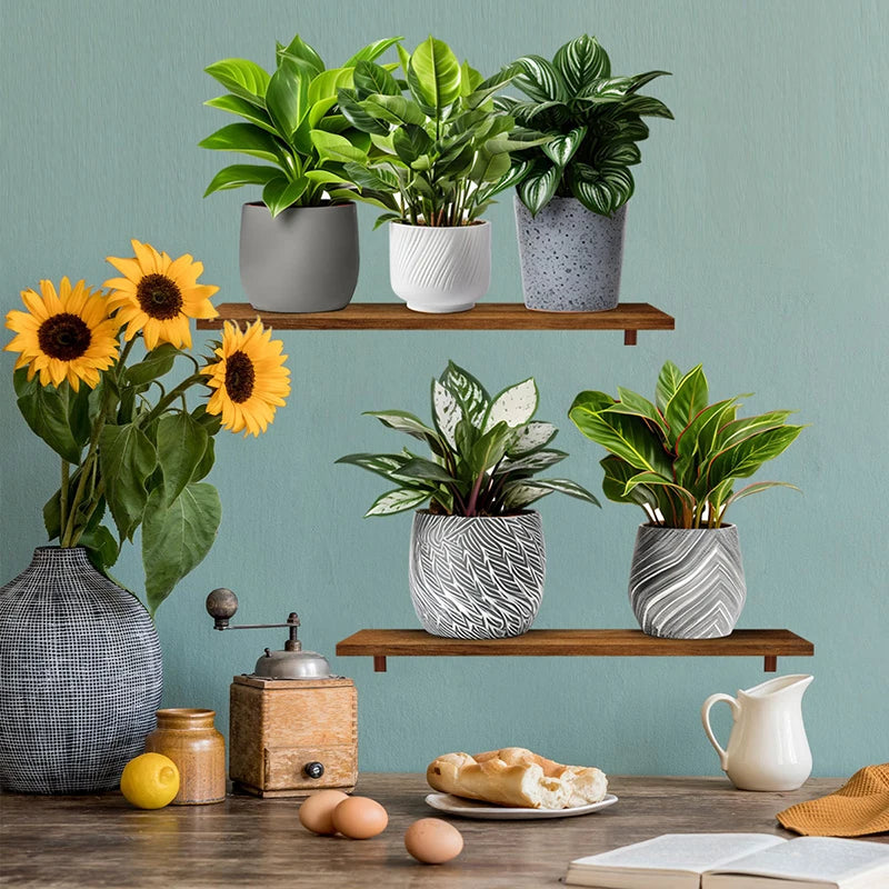 3Pcs/Set Fake Green Plants Potted Plant 3D Wall Stickers Waterproof Self Adhesive Decals Living Room Study Office Decor-HomeDecorDecals_com