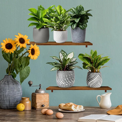 3Pcs/Set Fake Green Plants Potted Plant 3D Wall Stickers Waterproof Self Adhesive Decals Living Room Study Office Decor-HomeDecorDecals_com